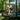 Gymstick Court Trampoline Safety Net 370 Vector -turvaverkko