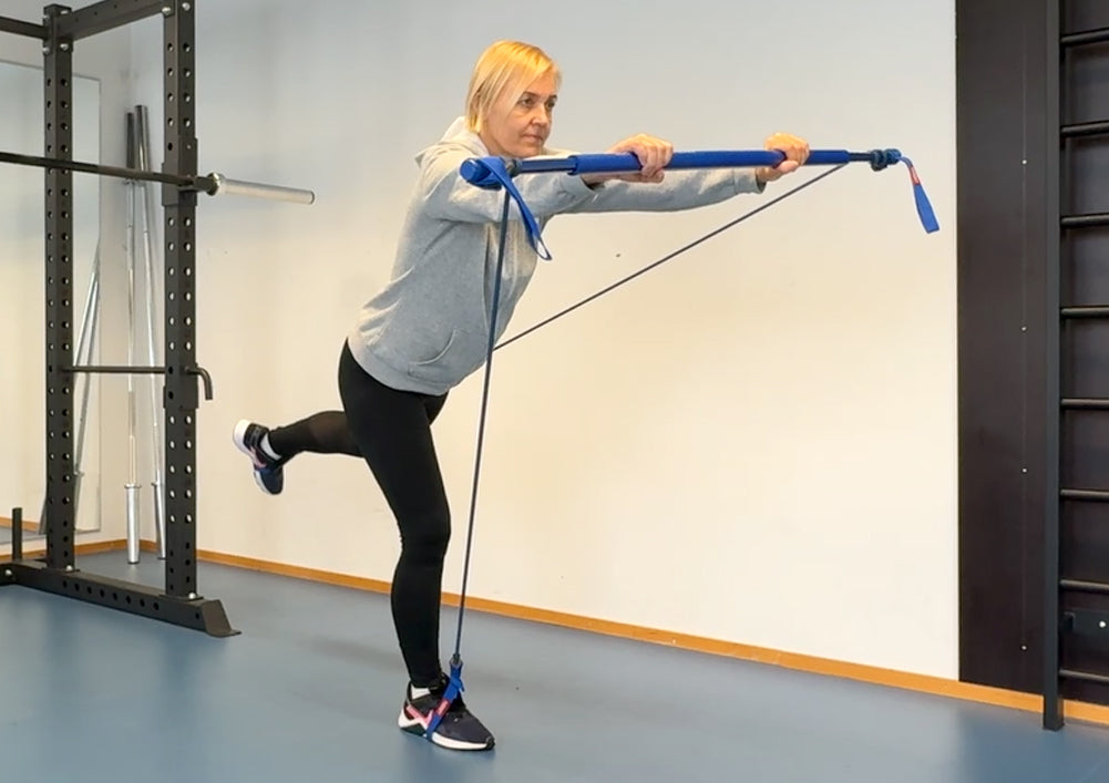 Gymstick Original 2.0