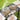 V13H269D0A1BA10B470C7BA524C330BBDE6CR3721036P1