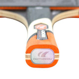 Gymstick Cornilleau Perform 800 Indoor Racket (5 star)  pingismaila sisäkäyttöön
