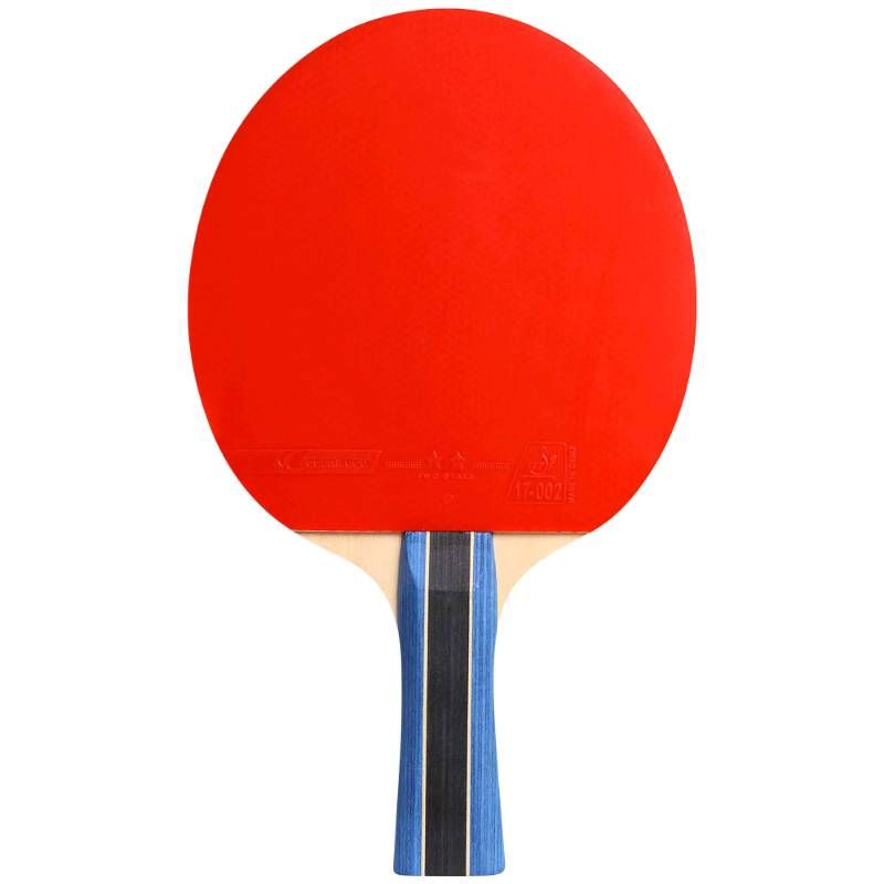Gymstick Cornilleau Sport 200 Indoor Racket (2 star) pingismaila sisäkäyttöön
