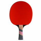 Gymstick Cornilleau Excell 3000 Carbon Indoor Racket (6 star) Kilpatason ITTF-hyväksytty pingismaila